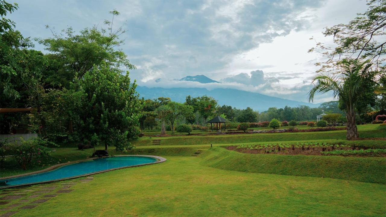 K Gallery Hotel Pasuruan Exterior foto